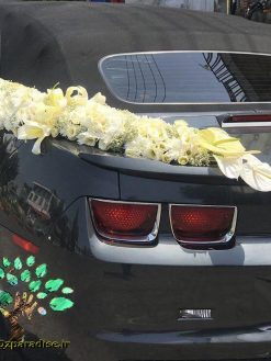 ماشین عروس گل طبیعی NFBC10 Natural Flower Bridal Car
