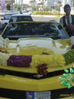 ماشین عروس گل طبیعی NFBC2 Natural Flower Bridal Car