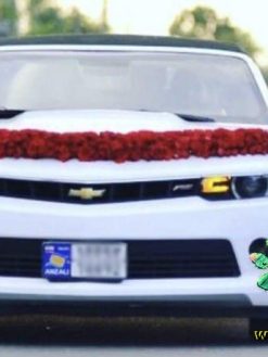 ماشین عروس گل طبیعی NFBC23 Natural Flower Bridal Car