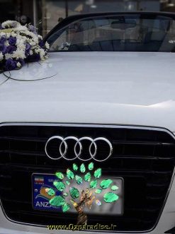 ماشین عروس گل طبیعی NFBC28 Natural Flower Bridal Car
