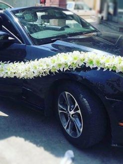 ماشین عروس گل طبیعی NFBC43 Natural Flower Bridal Car