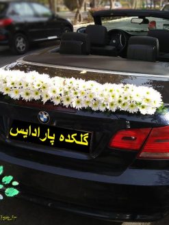 ماشین عروس گل طبیعی NFBC46 Natural Flower Bridal Car