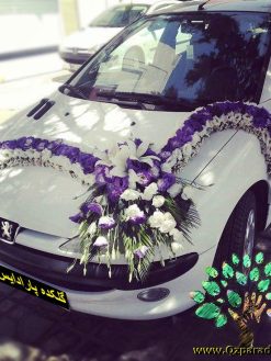 ماشین عروس گل طبیعی NFBC48 Natural Flower Bridal Car
