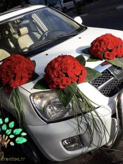 ماشین عروس گل طبیعی NFBC5 Natural Flower Bridal Car