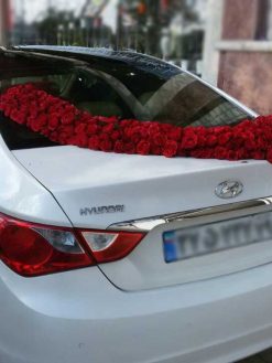 ماشین عروس گل طبیعی NFBC59 Natural Flower Bridal Car