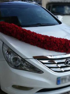 ماشین عروس گل طبیعی NFBC60 Natural Flower Bridal Car