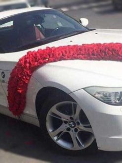 ماشین عروس گل طبیعی NFBC63 Natural Flower Bridal Car