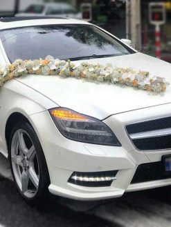 ماشین عروس گل طبیعی NFBC64 Natural Flower Bridal Car