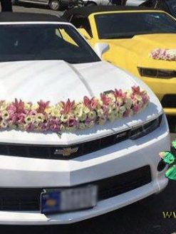 ماشین عروس گل طبیعی NFBC7 Natural Flower Bridal Car