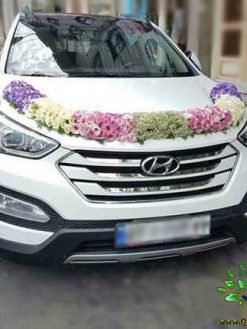 ماشین عروس گل طبیعی NFBC70 Natural Flower Bridal Car