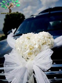 ماشین عروس با تور BCWT1 Bridal Car with Tour