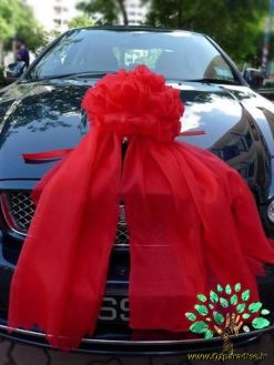 ماشین عروس با تور BCWT12 Bridal Car with Tour