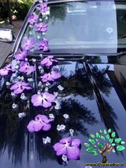 ماشین عروس با تور BCWT2 Bridal Car with Tour