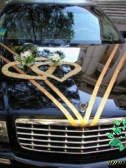 ماشین عروس با تور BCWT24 Bridal Car with Tour