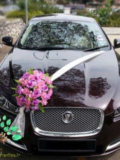 ماشین عروس با تور BCWT48 Bridal Car with Tour