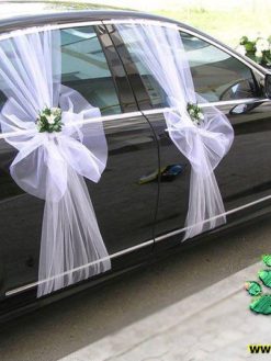 ماشین عروس با تور BCWT52 Bridal Car with Tour