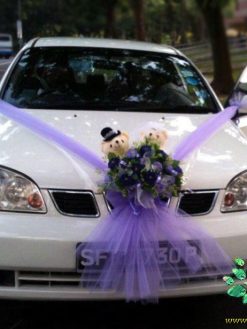 ماشین عروس با تور BCWT9 Bridal Car with Tour
