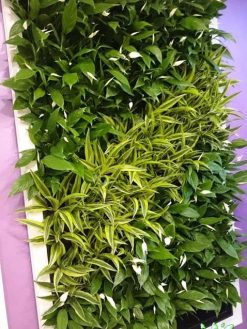 دیوار سبز GW103 Green wall