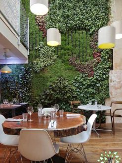 دیوار سبز GW104 Green wall