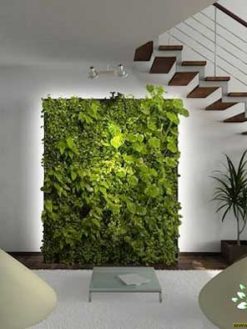 دیوار سبز GW105 Green wall