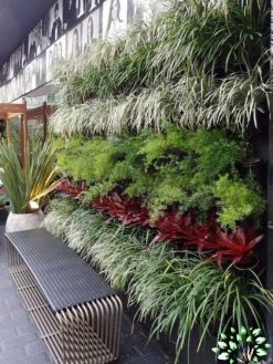 دیوار سبز GW107 Green wall