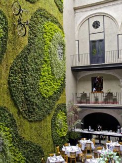 دیوار سبز GW109 Green wall