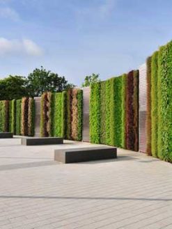 دیوار سبز GW11 Green wall