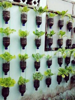 دیوار سبز GW111 Green wall