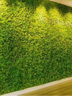 دیوار سبز GW112 Green wall