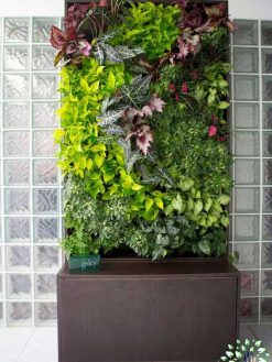 دیوار سبز GW114 Green wall