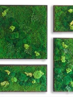 دیوار سبز GW115 Green wall