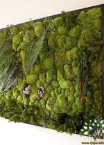 دیوار سبز GW117 Green wall