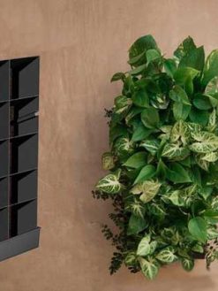 دیوار سبز GW121 Green wall