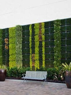 دیوار سبز GW123 Green wall