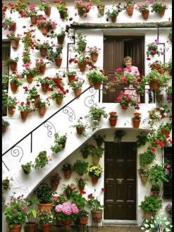 دیوار سبز GW124 Green wall