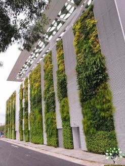 دیوار سبز GW125 Green wall