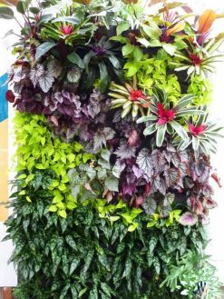 دیوار سبز GW128 Green wall