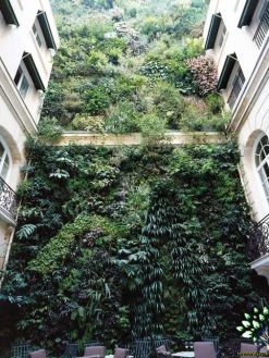 دیوار سبز GW129 Green wall