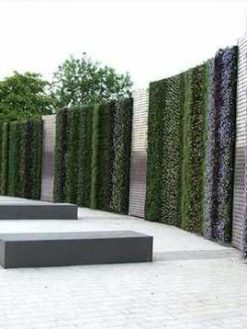 دیوار سبز GW135 Green wall