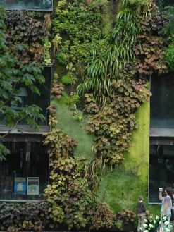 دیوار سبز GW136 Green wall