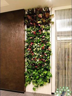 دیوار سبز GW137 Green wall