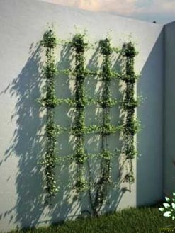 دیوار سبز GW138 Green wall