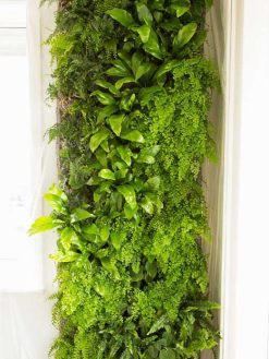 دیوار سبز GW139 Green wall