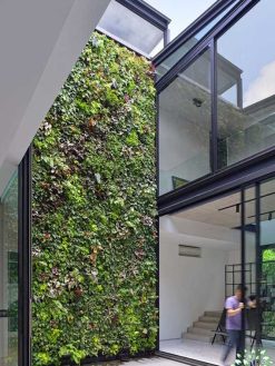 دیوار سبز GW14 Green wall
