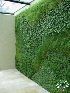 دیوار سبز GW145 Green wall