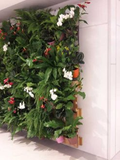 دیوار سبز GW15 Green wall