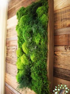 دیوار سبز GW153 Green wall