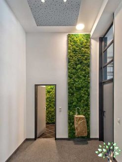 دیوار سبز GW155 Green wall