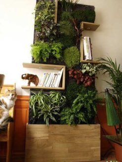 دیوار سبز GW157 Green wall