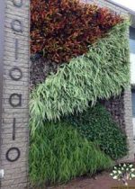 دیوار سبز GW159 Green wall